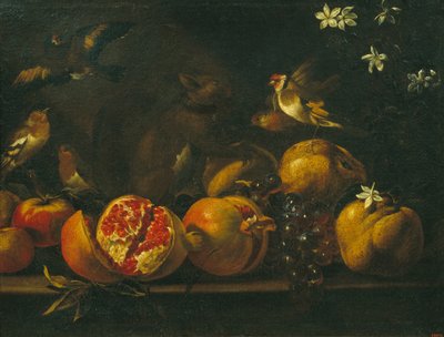 Stilleven met granaatappels, druiven, vogels en een eekhoorn door Tommaso Realfonso